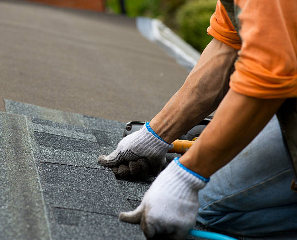 Best Shingle Roofing Installation  in University, FL
